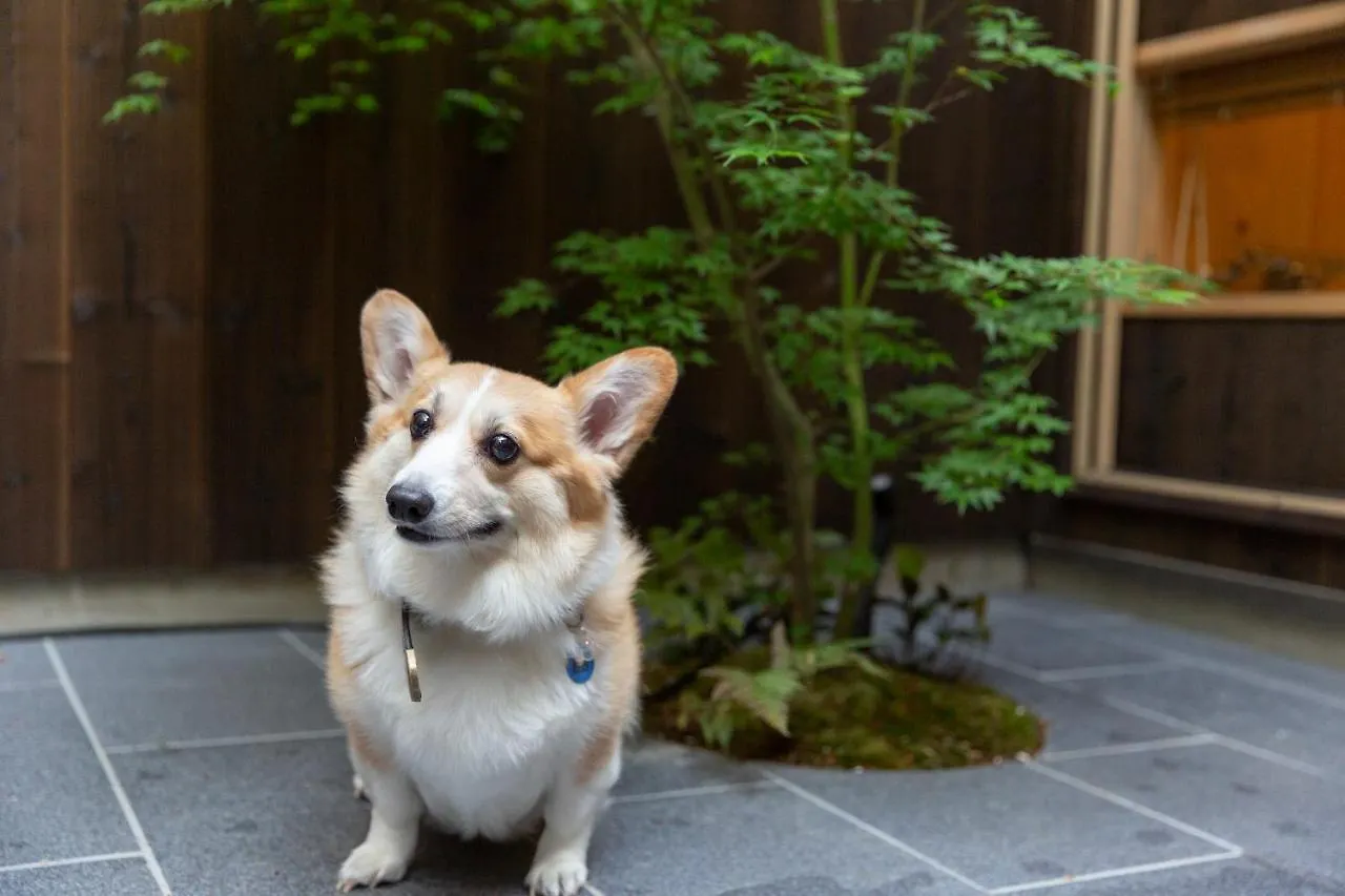 染 Sen 七条平安 Shichijo-Heian Apartment Kyoto 0*,  Japan